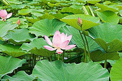 泄露文件：《漫威蜘蛛侠2》总成本超过了3亿美元